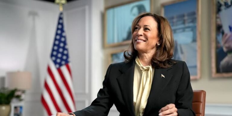 Kamala Harris Speech: What Important Points are made, The Topics of the Speech, and the Effects of the Speech.