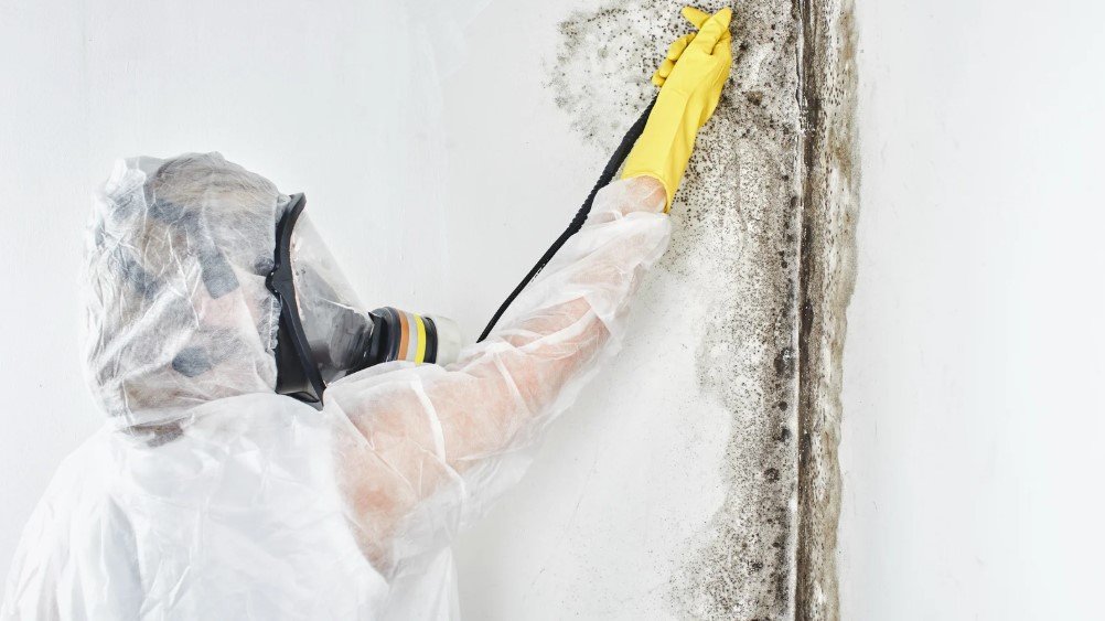 A professional wearing protective gear performing mold removal on a wall, highlighting the process of comprehensive mold remediation.