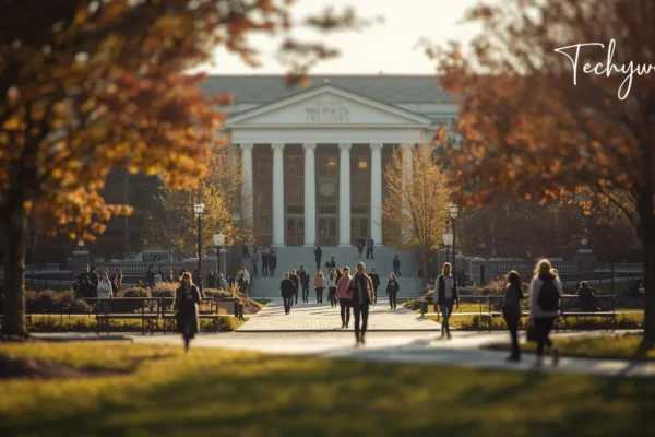 Students walking across a university campus in autumn, reflecting hailey chittenden washington state university trend